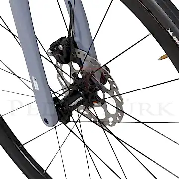 Bisan Mithra Ultegra Disk Fren 2x11