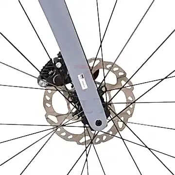 Bisan Mithra Ultegra Disk Fren 2x11