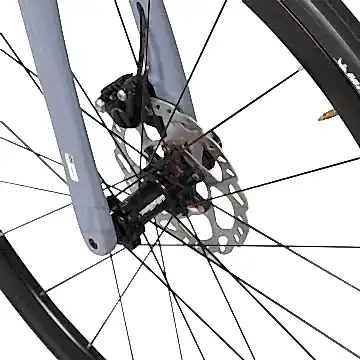 Bisan Mithra 105 Disk Fren 2x11